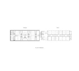 Ikerbasque-13