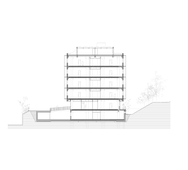 Ikerbasque-3